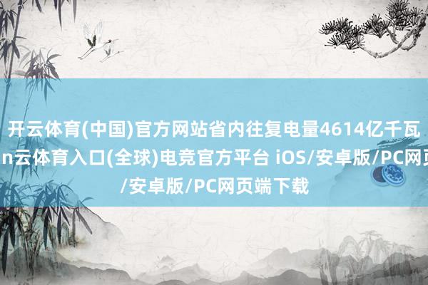 开云体育(中国)官方网站省内往复电量4614亿千瓦时-开yun云体育入口(全球)电竞官方平台 iOS/安卓版/PC网页端下载
