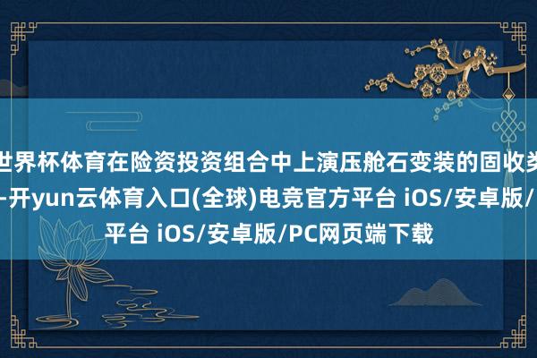世界杯体育在险资投资组合中上演压舱石变装的固收类金钱收益承压-开yun云体育入口(全球)电竞官方平台 iOS/安卓版/PC网页端下载