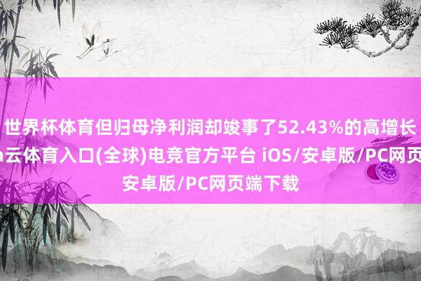 世界杯体育但归母净利润却竣事了52.43%的高增长-开yun云体育入口(全球)电竞官方平台 iOS/安卓版/PC网页端下载