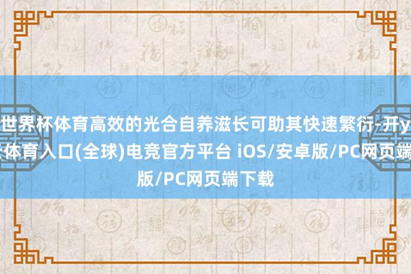 世界杯体育高效的光合自养滋长可助其快速繁衍-开yun云体育入口(全球)电竞官方平台 iOS/安卓版/PC网页端下载