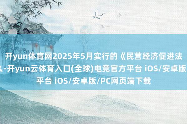 开yun体育网2025年5月实行的《民营经济促进法》具体效果怎么-开yun云体育入口(全球)电竞官方平台 iOS/安卓版/PC网页端下载